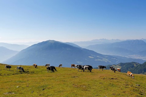 View from the Lammersdorfer Berg mountain over Mirnock