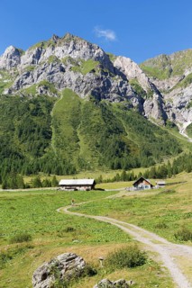 Ingridalm mountain pasture in Frohnbach Valley