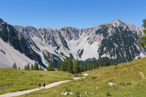Matschacher Alm mountain pasture with Hochstuhl Mountain
