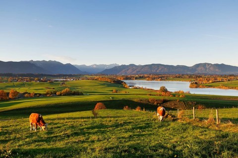 Riegsee Lake