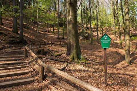 Painters' Path