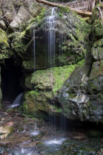 Amselfall