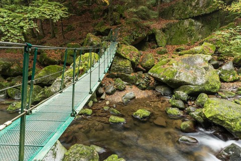 Buchberger Leite
