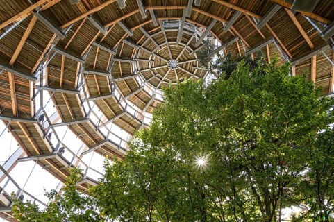 Tree tower