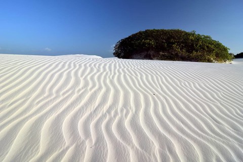 Desert of Lençóis Maranhenses