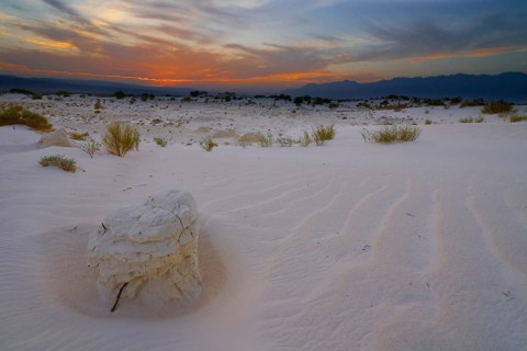 Gypsum dunes of Las Arenales in Cuatro Ciénegas Nature Reserve
