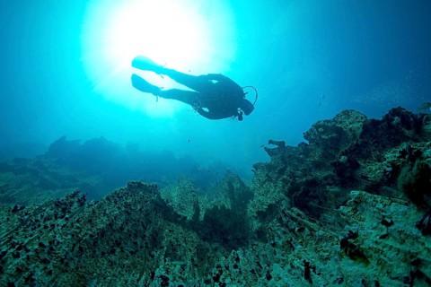 Scuba diver in Barracuda Lake