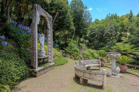 Jardim Botânico da Madeira or Botanical Garden