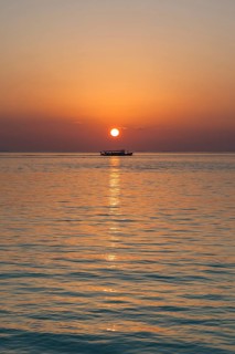Sunset with a Dohni