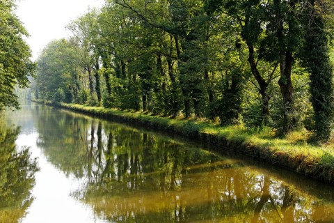 Canal des Vosges