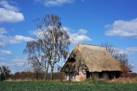 Derelict farmhouse with a thatched roof