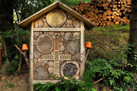 Insect hotel