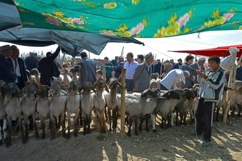 Boy stretching a sunshade at a Uighur animal market