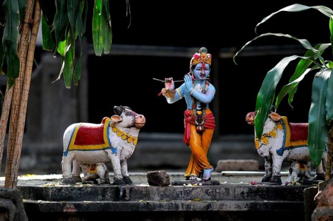 Sculptures