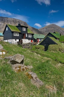 Traditional turf houses