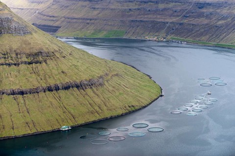 Fjord