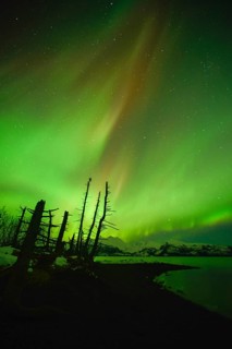 Northern lights