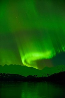 Northern lights