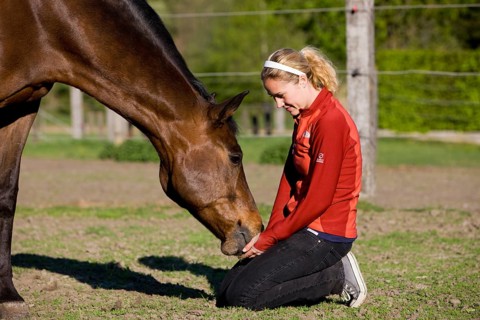 Young woman cuddling an Austrian Warmblood