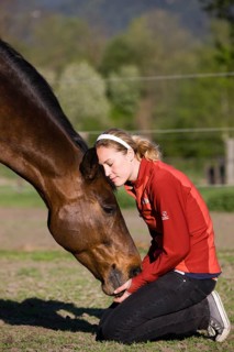 Young woman cuddling an Austrian Warmblood