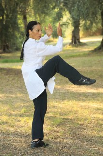 Tai Chi