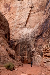 Tourist on the trail through Grand Wash Gorge
