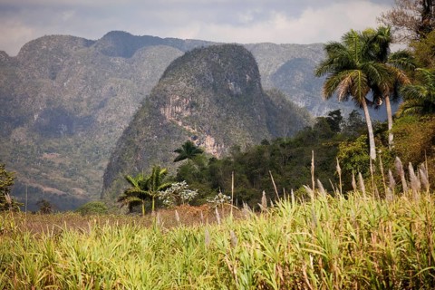Landscape with Karst mountains and the cultivation of tobacco