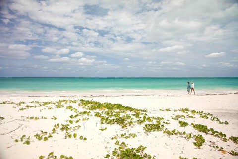 Couple walking along the beach