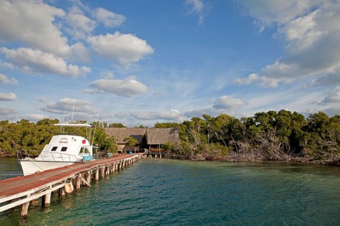 Dock and pier