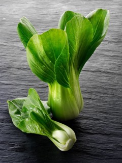 Fresh Pak Choi leaves