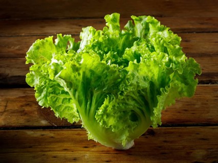 Batavia lettuce
