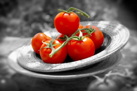 Fresh tomatoes on the vine