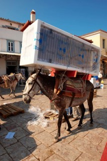 Pack pony moving a fridge