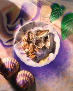 Oysters on ice