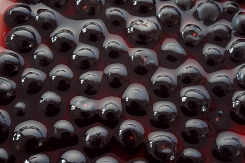 Fresh whole Acai berries (Euterpe oleracea)