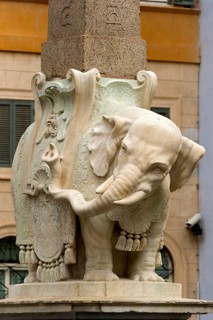 Pulcino della Minerva