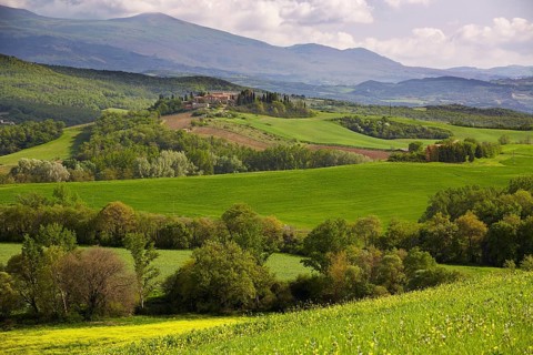 Hilly landscape of the Crete Senesi region