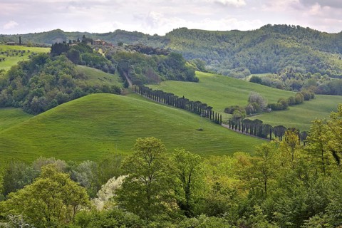 Hilly landscape of the Crete Senesi region