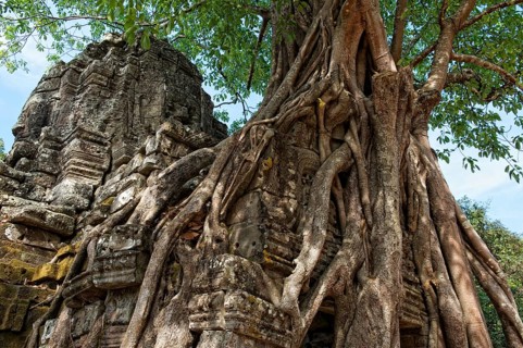 Trees growing over a gate at the temple of Ta Som
