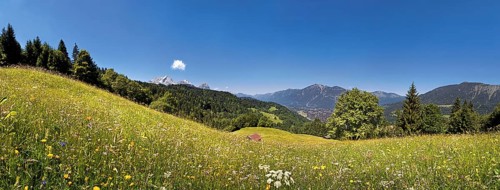 Green meadow on Eckbauer Mountain