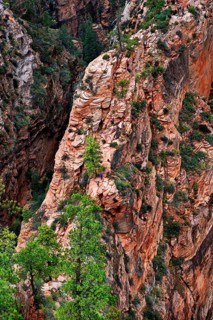 Hikers on the trail on the Angels Landing rock formation with sheer cliffs on either side