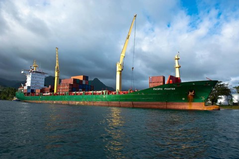 Container ship in the port
