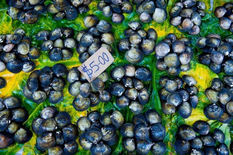 Mussels for sale at the market hall