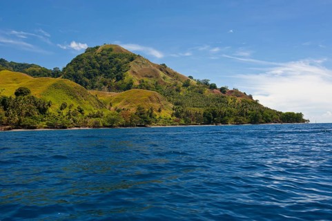 Coastal landscape