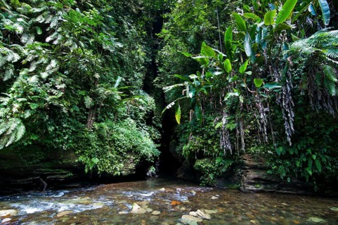 Millennium Cave
