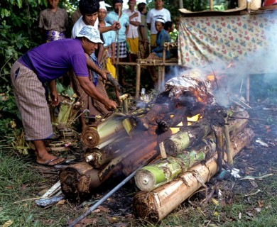 Incineration