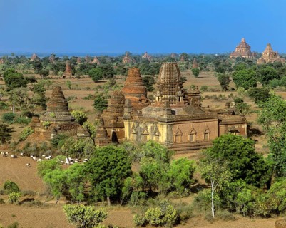 Field with ruins of Buddhist pagodas and temples