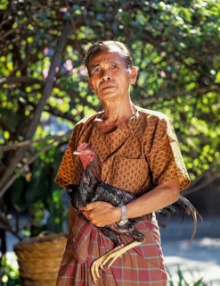 Elderly man wearing traditional clothing holding a cock