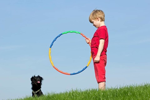 Dog training