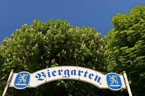 Entrance to a beer garden with a "Biergarten" sign and a blossoming chestnut tree